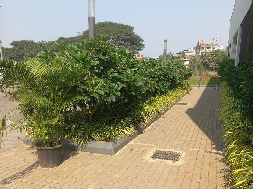 Greenscape Creation
